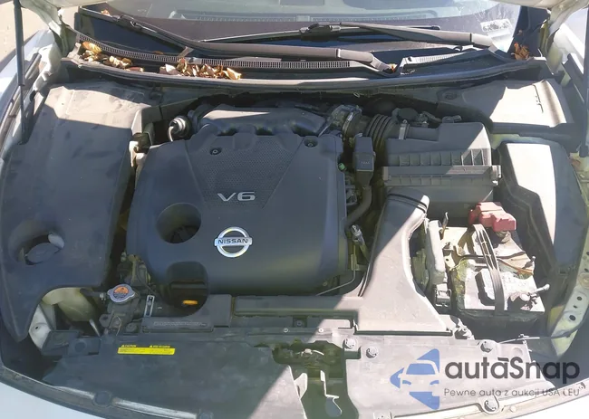 1N4AA5AP8CC832575: 43658776