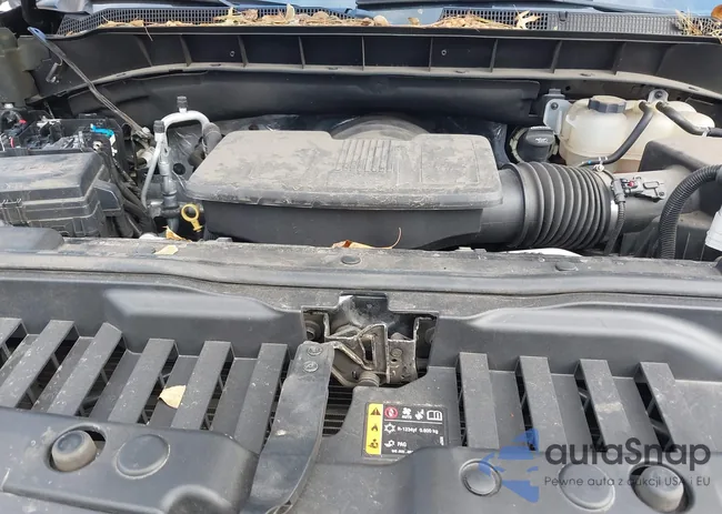 1GCPYFED8MZ171666: 43660406