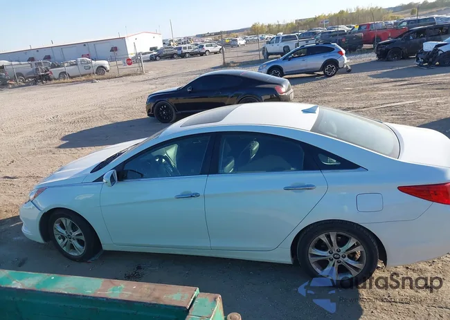 5NPEC4AC1BH278554: 43660420