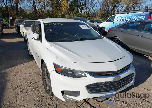 1G1ZD5ST1JF151680: 43660756