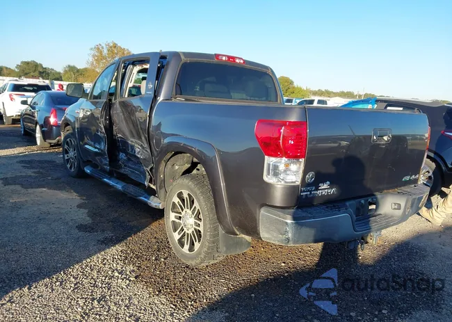 5TFDW5F10DX291982: 43661305