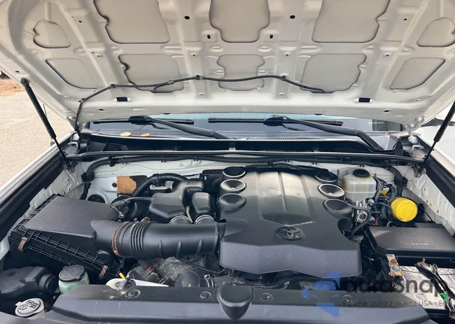 JTEBU5JR3D5130804: 43661478