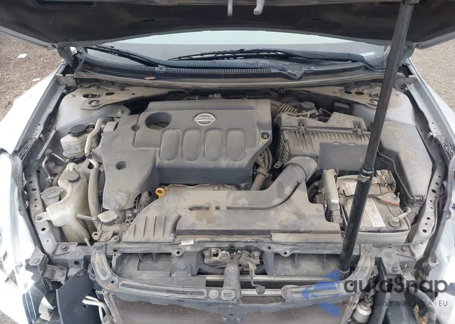 1N4AL2AP6CC250516: 43661079