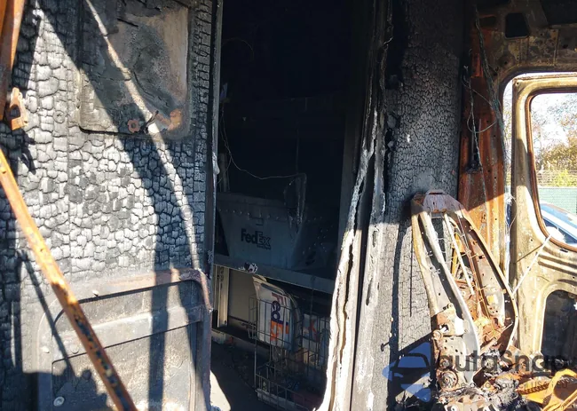 WD3PE8CB1B5557768: 43662512