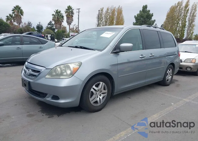 5FNRL38487B033394: 43662527