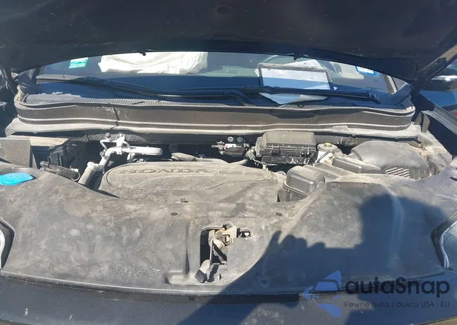 5FNYF6H73NB004137: 43662601