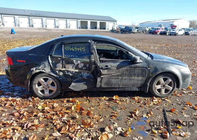 19UUA66295A066155: 43663445