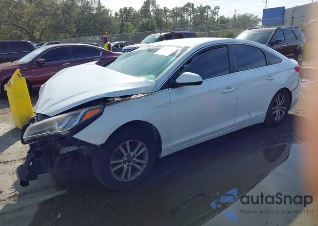 5NPE24AF6HH559352: 43663466