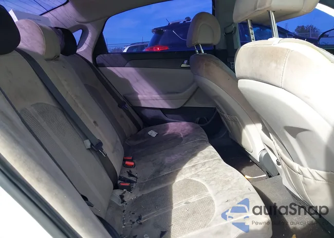 5NPE24AF6HH559352: 43663466