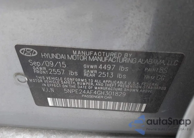 5NPE24AF4GH301829: 43663663