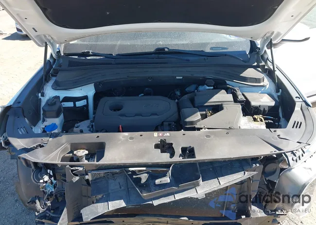 5NMS2CAD6KH102797: 43663739