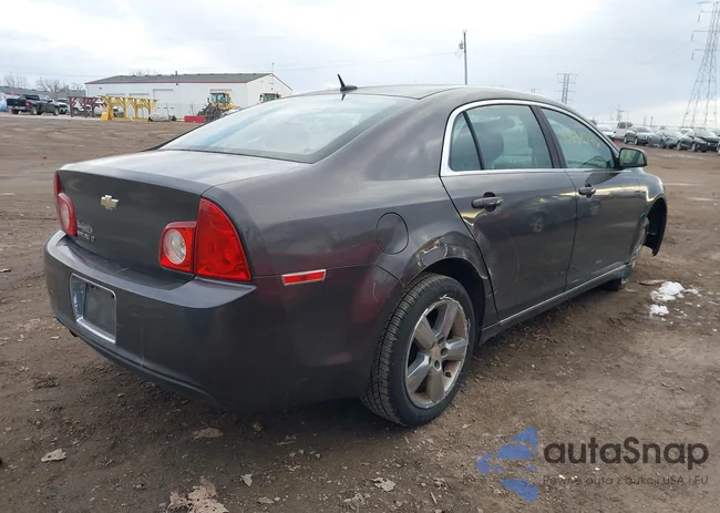 1G1ZD5EB4AF319346: 43663746