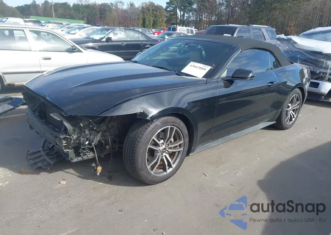 1FATP8UHXH5258313: 43663800