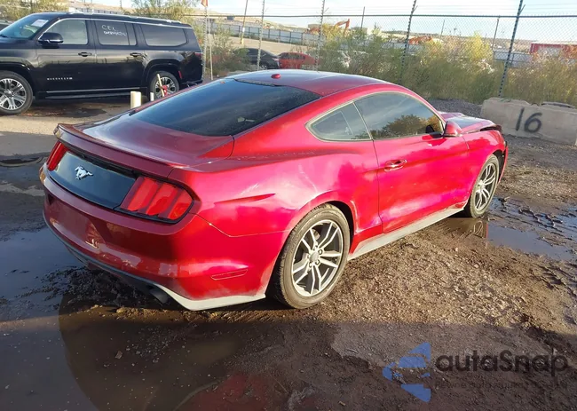 1FA6P8TH7G5281660: 43663805