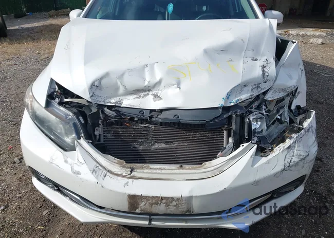 19XFB2F91FE228515: 43665260