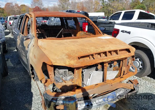 5TFDW5F16EX323853: 43664784