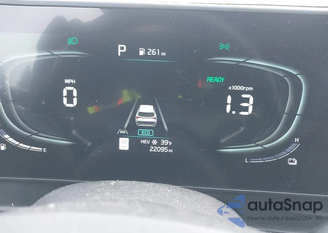 KNDPYDDH6R7146518: 43666356