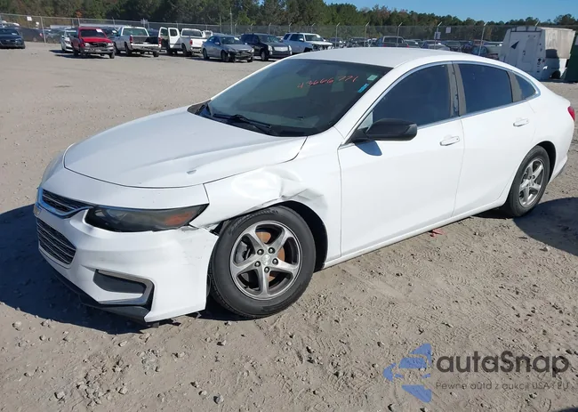 1G1ZB5ST1GF305660: 43666771