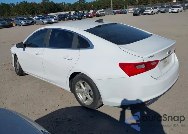 1G1ZB5ST1GF305660: 43666771