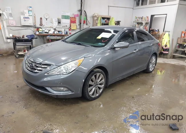 5NPEC4AC6DH628845: 43666083