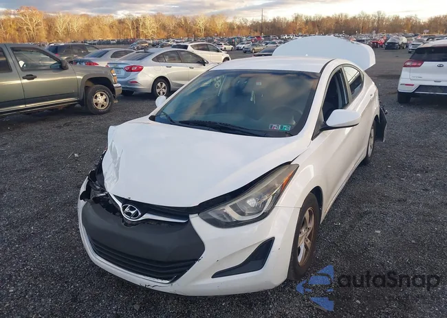 5NPDH4AE9FH595731: 43667625