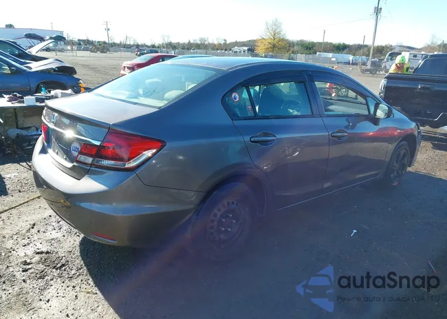 19XFB2F54FE264650: 43667669