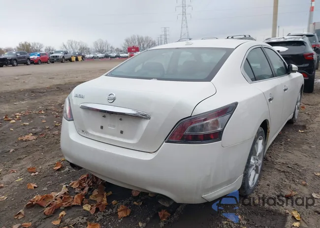 1N4AA5AP3DC844831: 43666820