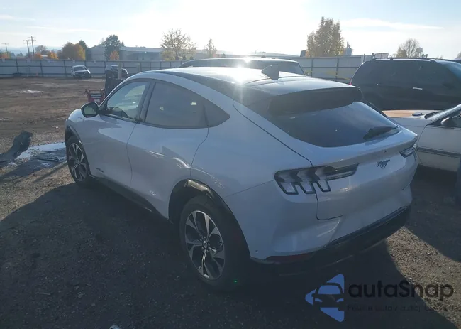 3FMTK3SU8PMA90445: 43668259