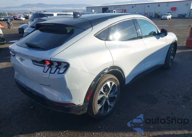 3FMTK3SU8PMA90445: 43668259