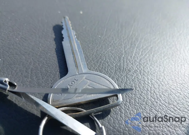 4T1SV24EXLU274729: 43668671