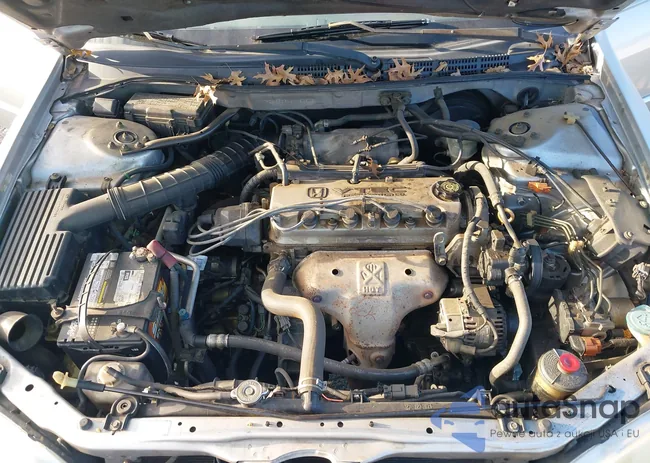 1HGCG56642A150502: 43670657