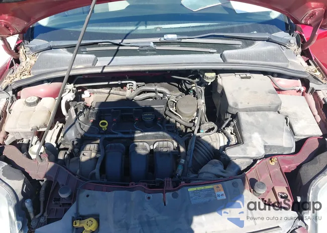 1FADP3F22DL106967: 43671230