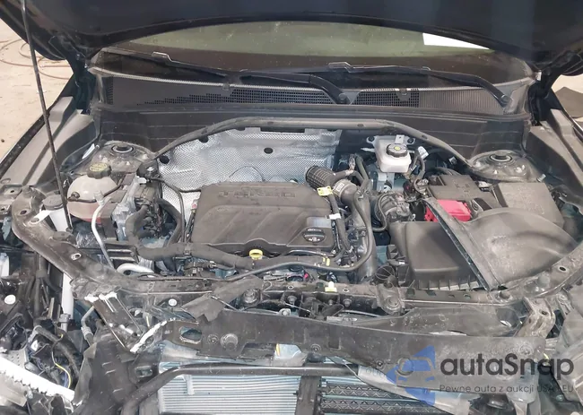 KL79MMS21PB202231: 43670834