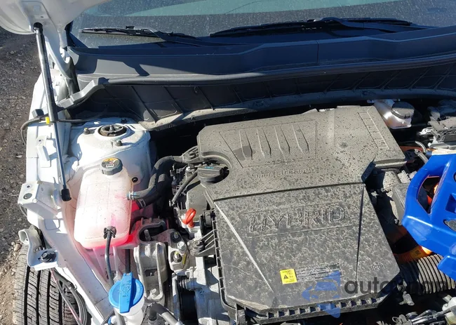 KNDCP3LE4R5155653: 43672375