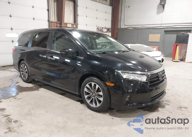 5FNRL6H71MB038962: 43672397