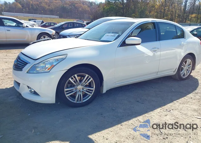 JN1CV6AP1BM500020: 43672008