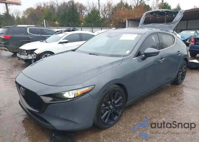 JM1BPAML9M1320173: 43673962