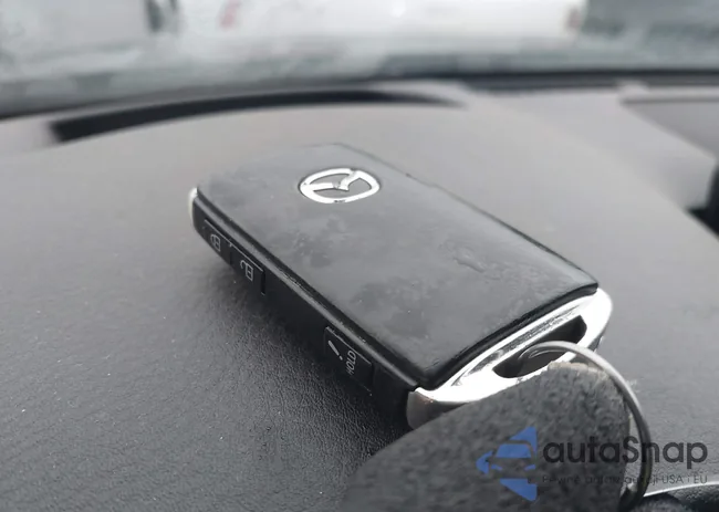 JM1BPAML9M1320173: 43673962