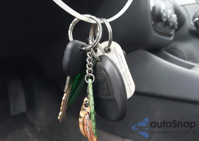 2G1WF5E37D1156032: 43674909