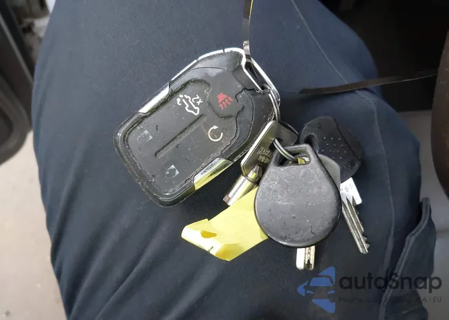 1GCUYGEL1KZ197460: 43676445