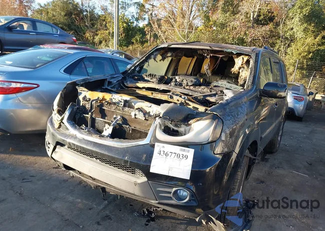 5FNYF4H92DB047646: 43677039