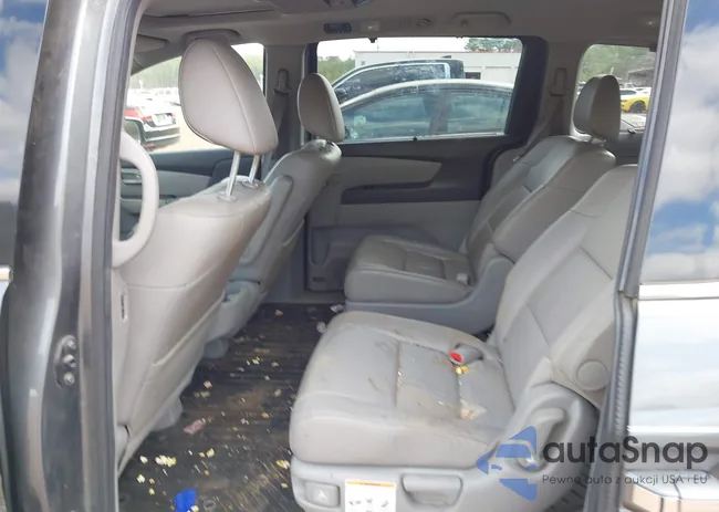 5FNRL5H91DB026046: 43681389