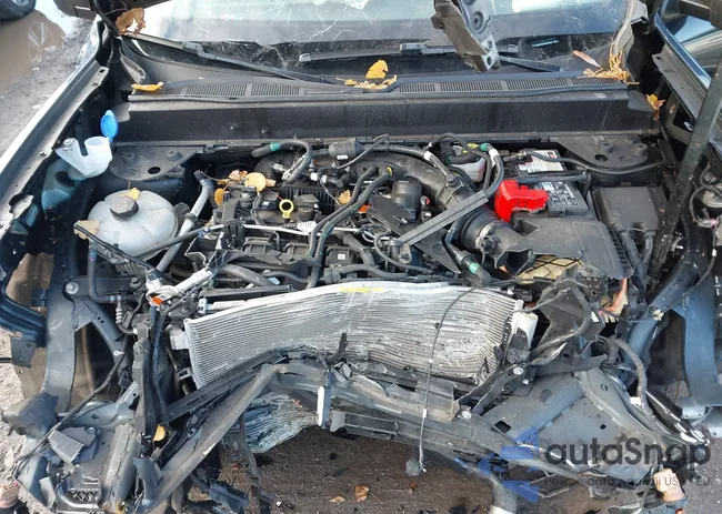 3FTTW8F9XNRA91995: 43683678