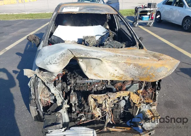 5YFB4MDE2SP299252: 43684601