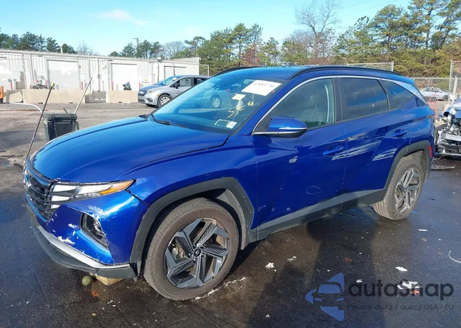 5NMJFCAEXPH256428: 43683770