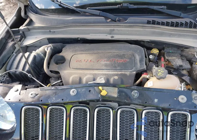 ZACCJBAT4GPC96725: 43685365