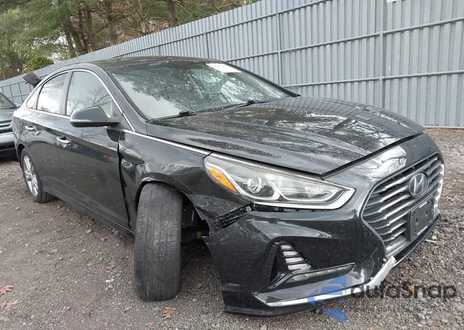 5NPE34AF0JH596500: 43685481