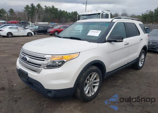 1FM5K8D89DGC89211: 43685487