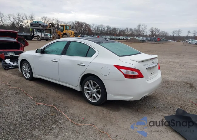 1N4AA51E69C818181: 43685534