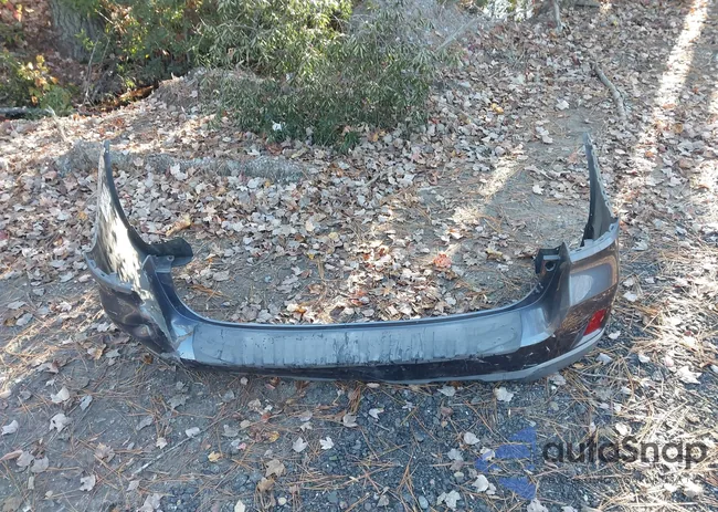 4S4BSALC1G3311472: 43685679